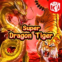 Quyền của người dùng dn991