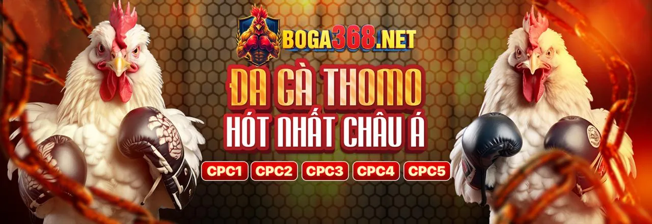 Sân đấu đá gà trực tuyến tại dn991