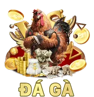 Ưu đãi DN991