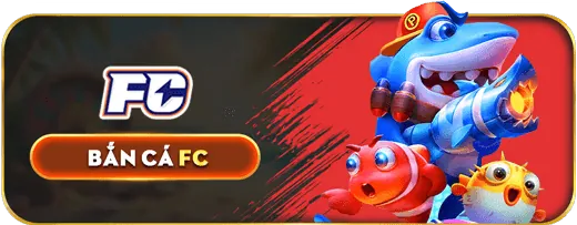 Tổ chức hỗ trợ bên ngoài